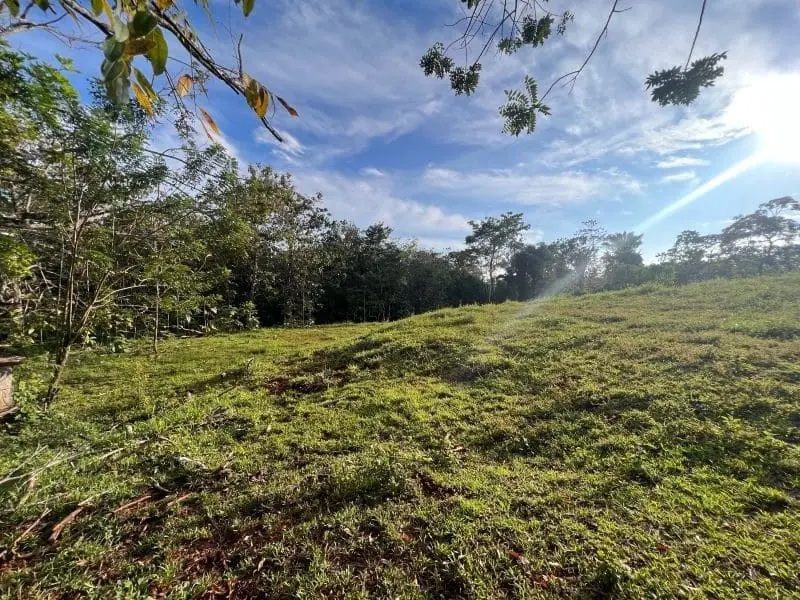 Montezuma Scenic Lots photo 4